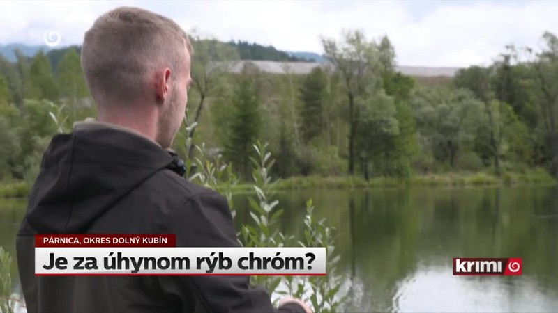 Je za úhynom rýb chróm?