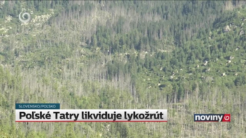 Poľské Tatry likviduje lykožrút