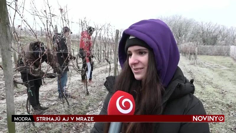 STRIHAJÚ AJ V MRAZE
