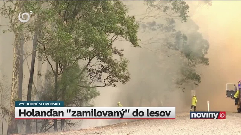 Holanďan "zamilovaný" do lesov