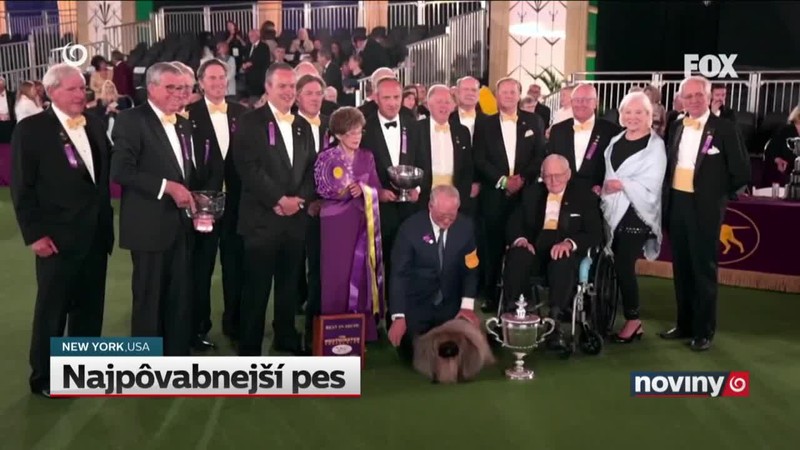 Najpôvabnejší pes