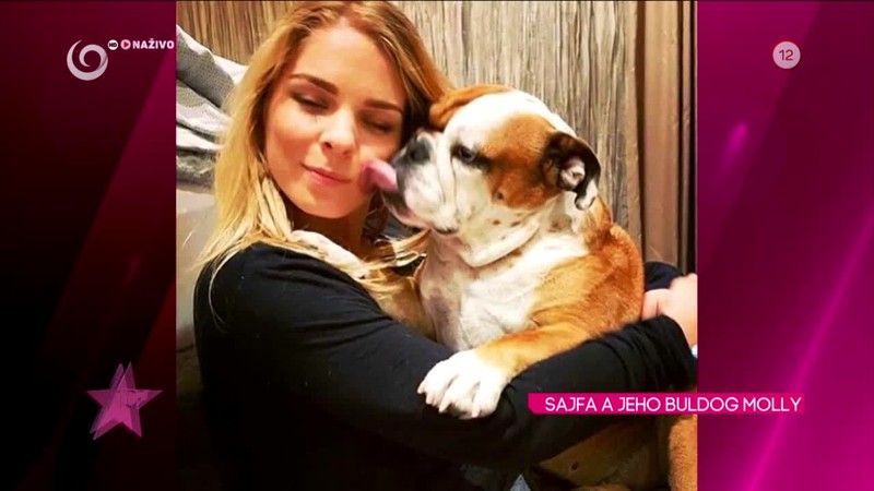 SAJFA A JEHO BULDOG MOLLY