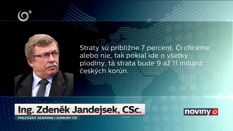 Sucho ničí úrodu obilnín