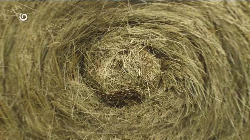 ŽIADAJÚ ODŠKODNÉ, OKREM R. FICA