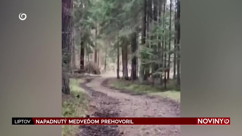 NAPADNUTÝ MEDVEĎOM PREHOVORIL