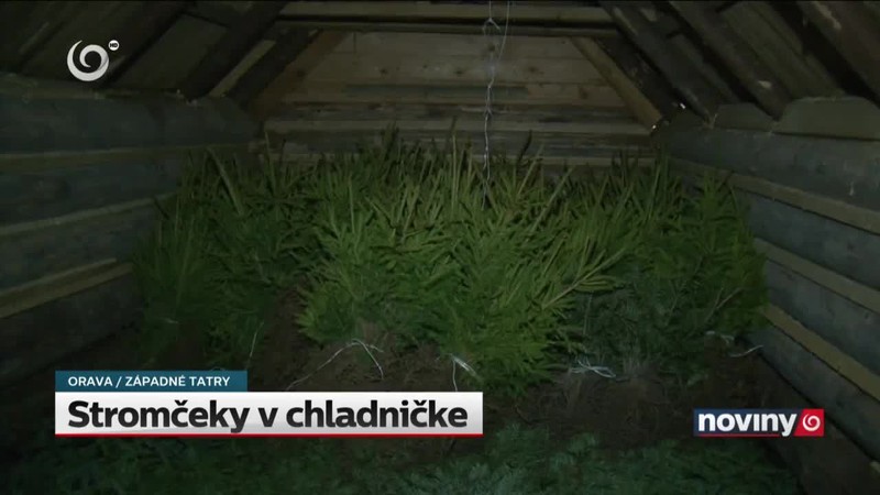Stromčeky v chladničke