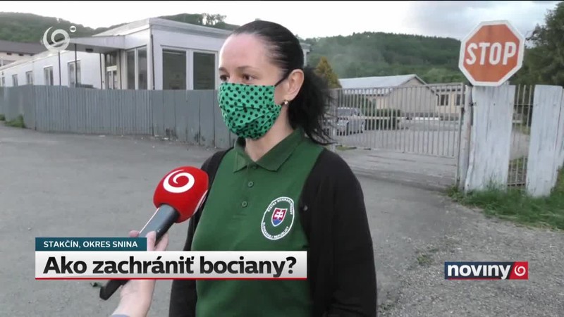 Ako zachrániť bociany?