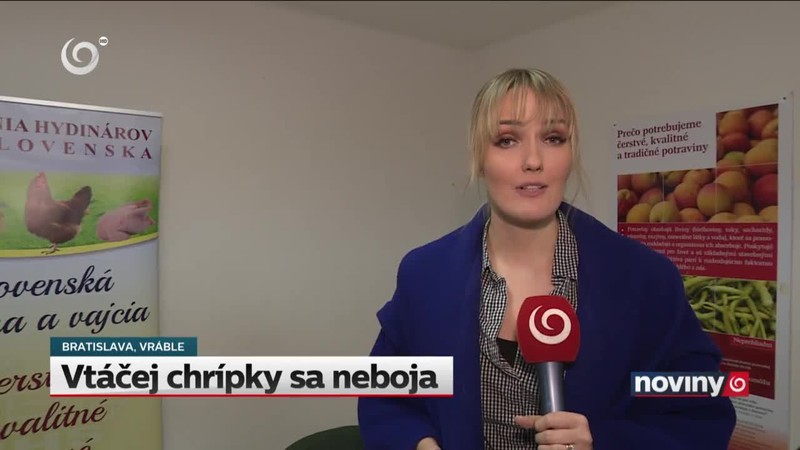 Vtáčej chrípky sa neboja