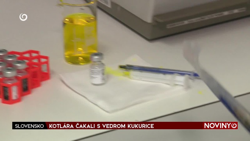 KOTLÁRA ČAKALI S VEDROM KUKURICE
