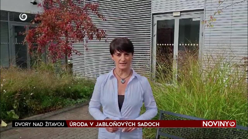 ÚRODA V JABLOŇOVÝCH SADOCH