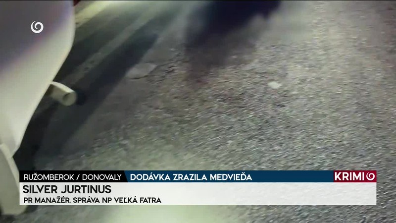 DODÁVKA ZRAZILA MEDVIEĎA