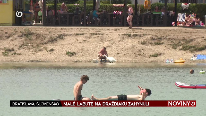 MALÉ LABUTE NA DRAŽDIAKU ZAHYNULI