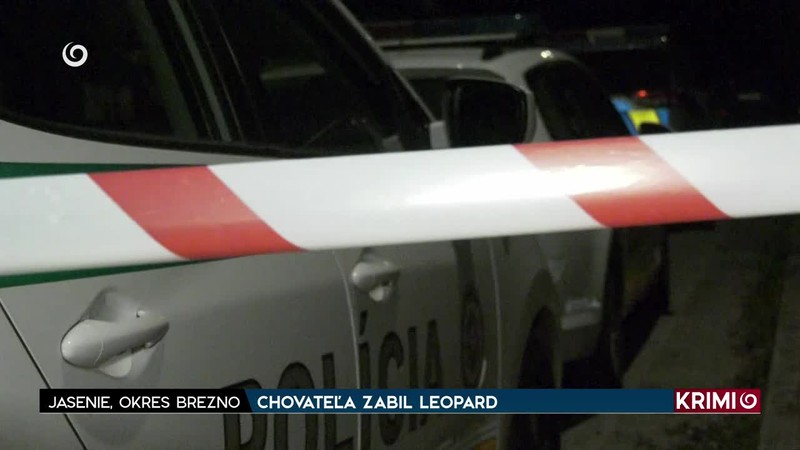 CHOVATEĽA ZABIL LEOPARD