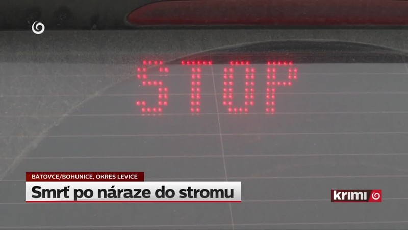 Smrť po náraze do stromu