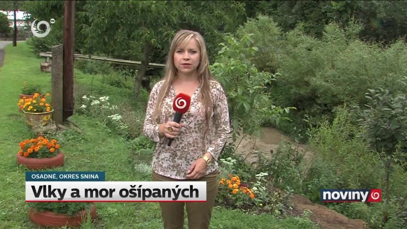 Vlky a mor ošípaných