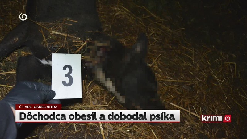 Dôchodca obesil a dobodal psíka
