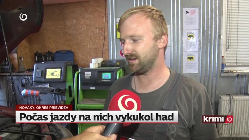 Počas jazdy na nich vykukol had