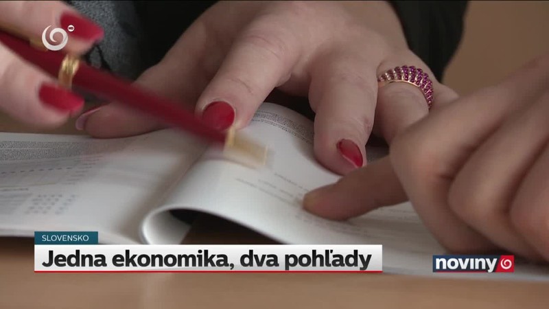 Jedna ekonomika, dva pohľady