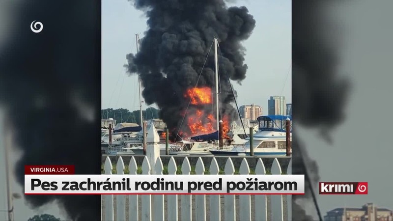 Pes zachránil rodinu pred požiarom