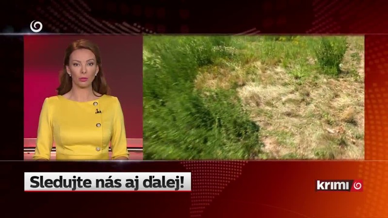 V škole začali s vypratávaním