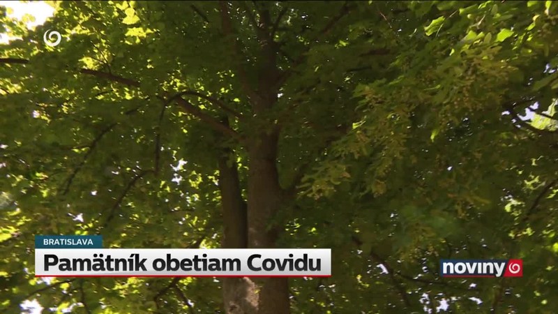 Pamätník obetiam Covidu