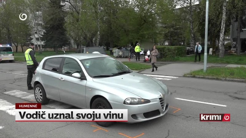 Vodič uznal svoju vinu