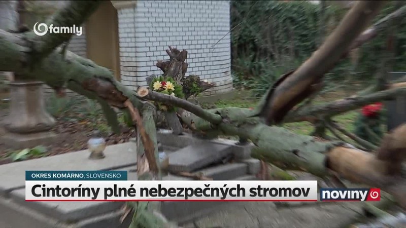 Cintoríny plné nebezpečných stromov