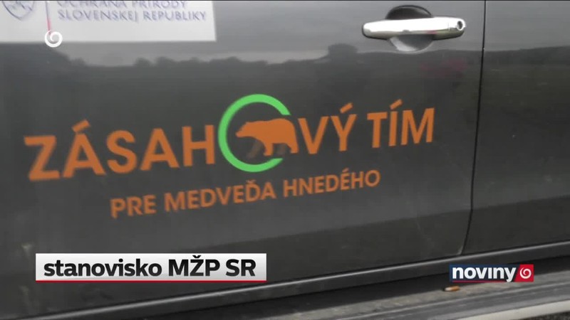 Problémy s medvedicami