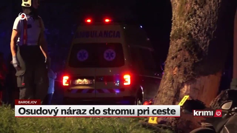 Osudový náraz do stromu pri ceste