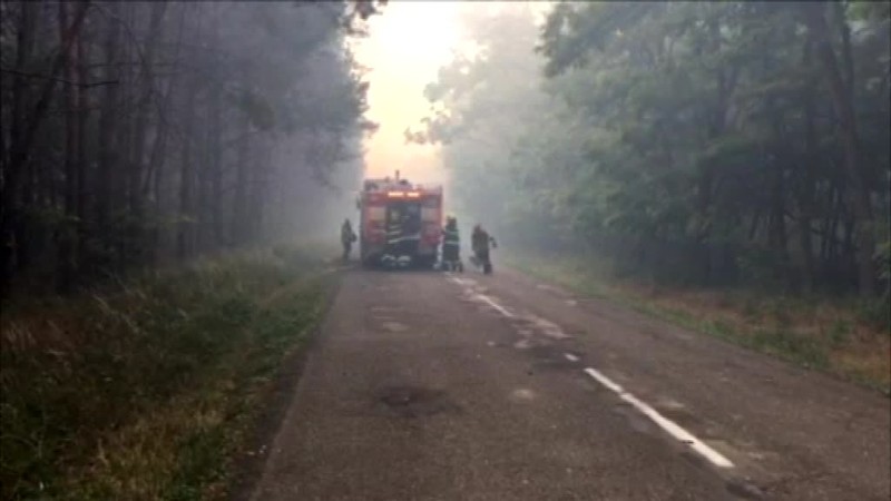 Veľký požiar na Záhorí. Zasahuje viac ako stovka hasičov