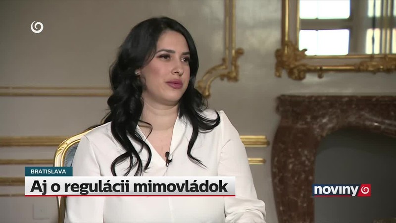 Aj o regulácii mimovládok