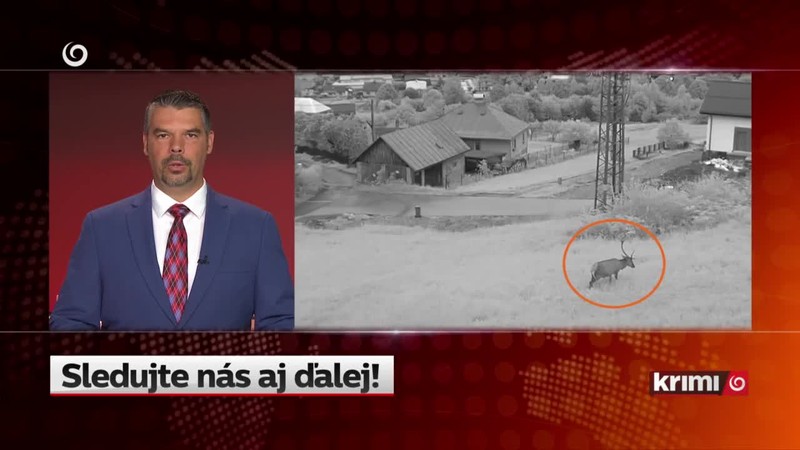 Vypil benzín, aby ho nezatkli