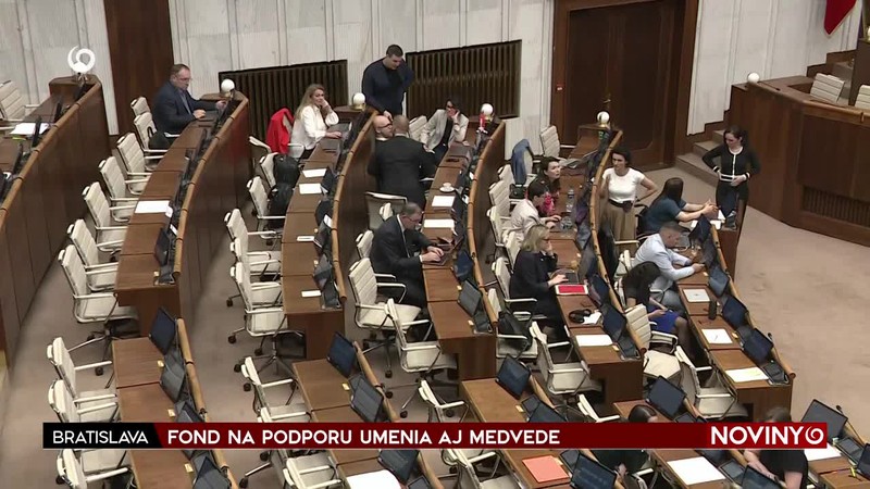 FOND NA PODPORU UMENIA AJ MEDVEDE