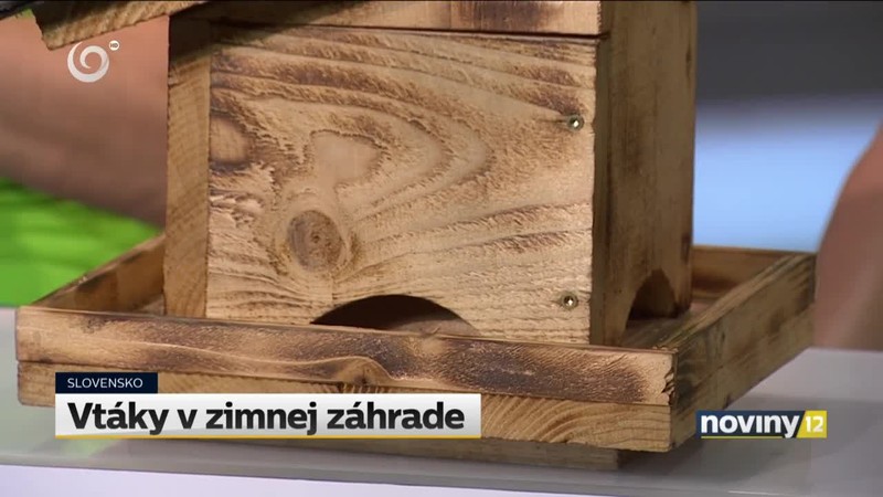 Vtáky v zimnej záhrade