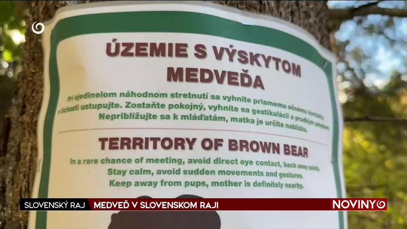 MEDVEĎ V SLOVENSKOM RAJI