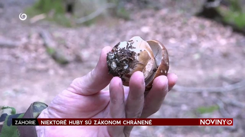 NIEKTORÉ HUBY SÚ ZÁKONOM CHRÁNENÉ