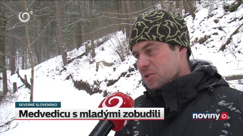 Medvedicu s mladými zobudili