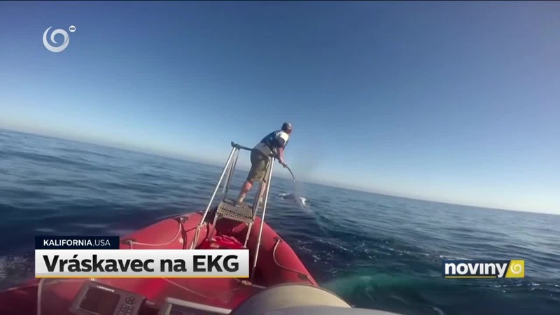 Čo nové v športe?