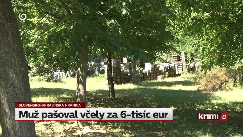 Muž pašoval včely za 6-tisíc eur