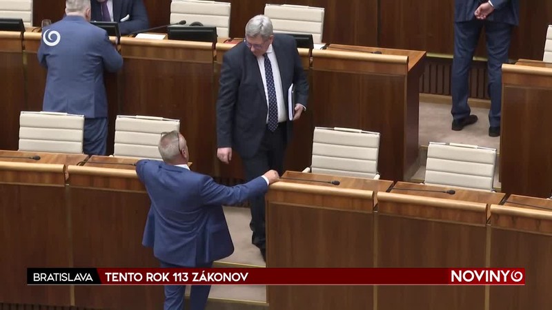 TENTO ROK 113 ZÁKONOV