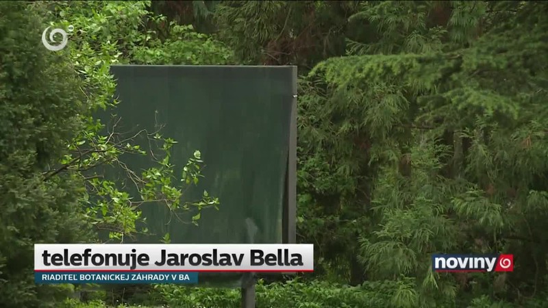 Umenie ustúpi prírode