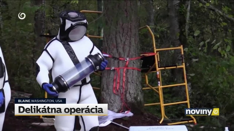 Delikátna operácia