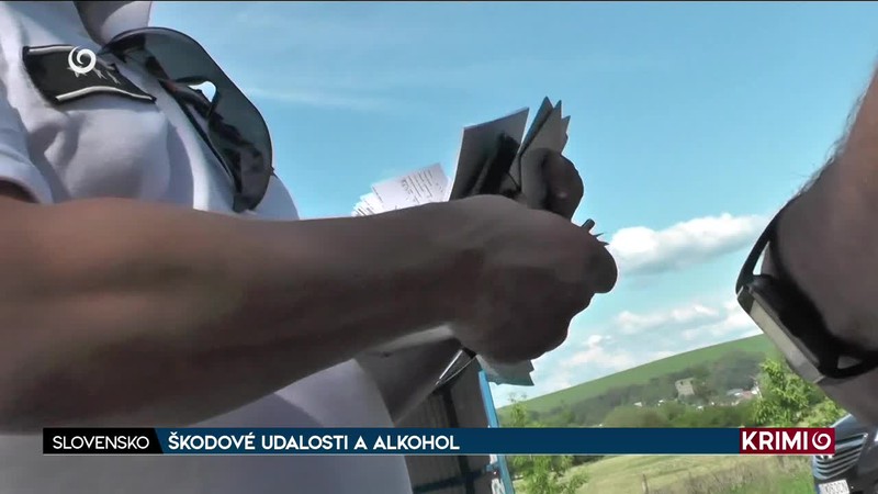 ŠKODOVÉ UDALOSTI A ALKOHOL