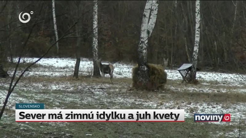 Sever má zimnú idylku a juh kvety