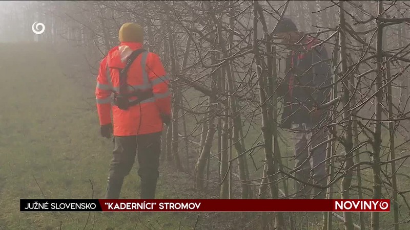 "KADERNÍCI" STROMOV