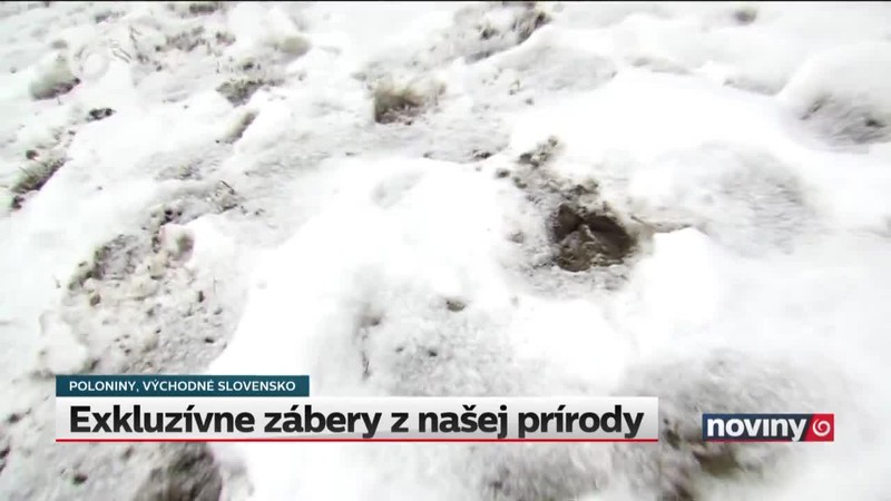 Exkluzívne zábery z našej prírody