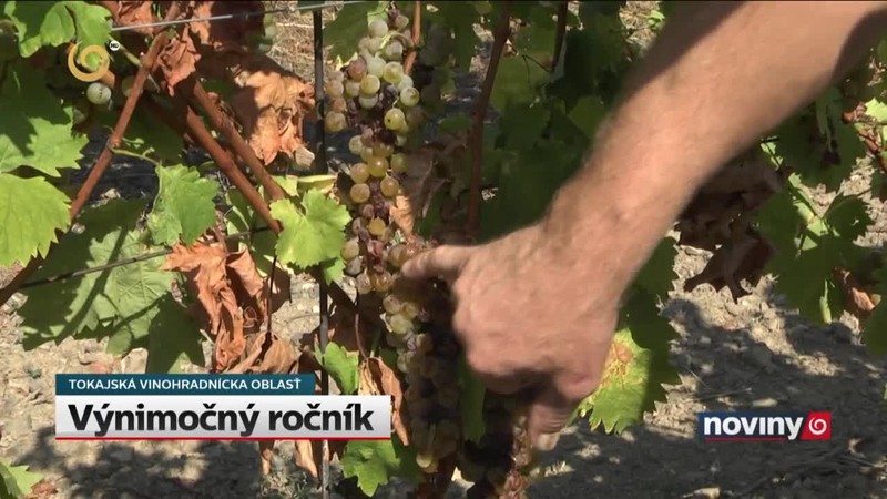 Výnimočný ročník