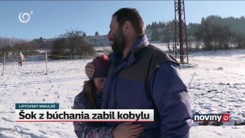 Šok z búchania zabil kobylu