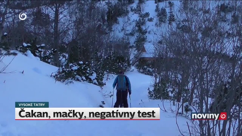 Čakan, mačky, negatívny test
