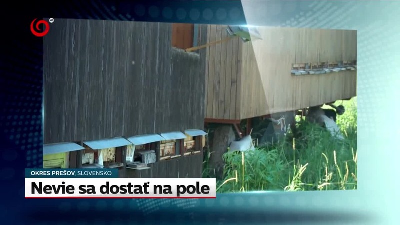 Sopečná erupcia zabíjala